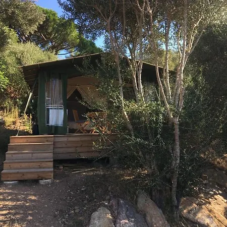 Safari Les Lauriers Sur